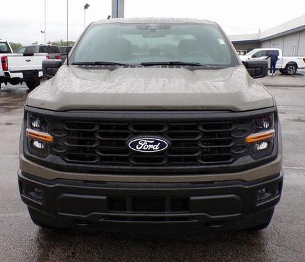 Marsh Gray 2025 Ford F-150 STX