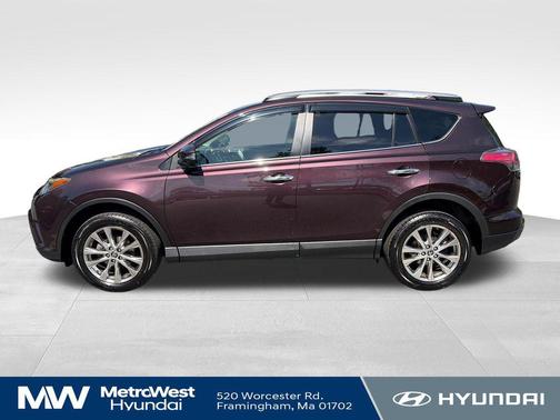 Black Currant Metallic 2018 Toyota RAV4 Limited