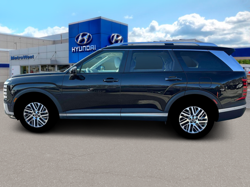 Abyss Black Pearl 2026 Hyundai PALISADE SEL Premium 8P