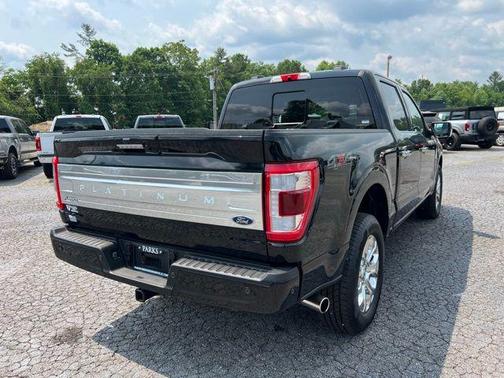 2022 Ford F-150 Platinum