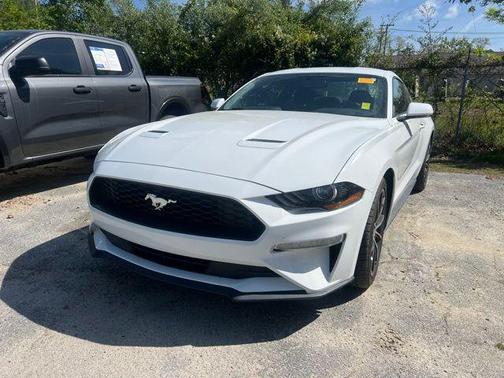 2019 Ford Mustang EcoBoost