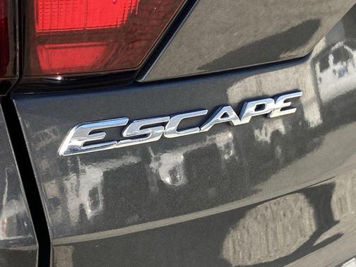 Magnetic 2019 Ford Escape SE