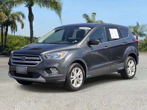 Magnetic 2019 Ford Escape SE