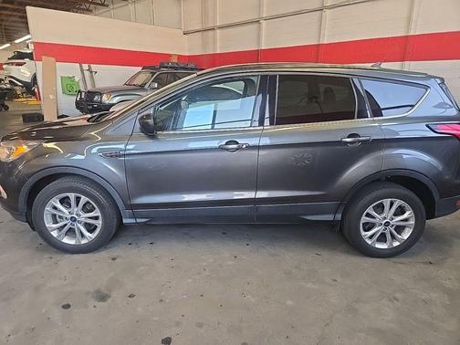 Magnetic 2019 Ford Escape SE