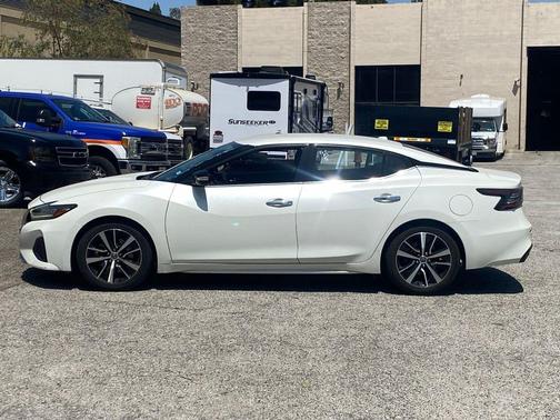 Pearl White 2023 Nissan Maxima SV Xtronic CVT