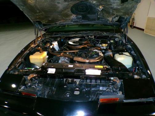 1984 Pontiac Firebird Trans Am