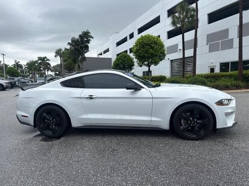 2023 Ford Mustang EcoBoost