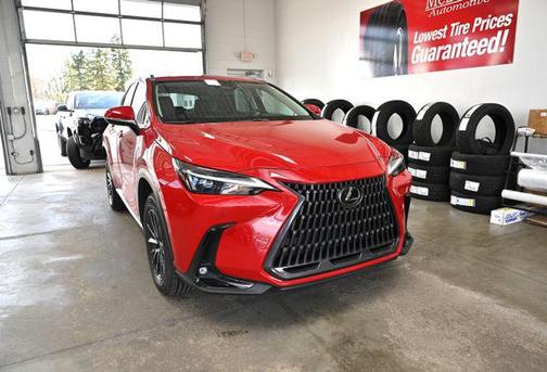 Redline 2022 Lexus NX 350 Premium