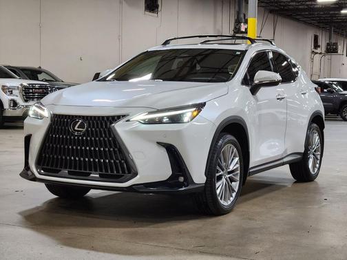 2025 Lexus NX 350 Premium