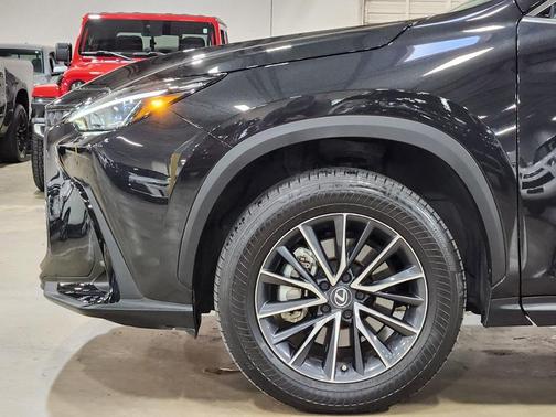 2024 Lexus NX 250 Premium