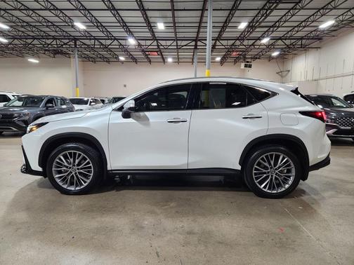 2022 Lexus NX 350h Premium