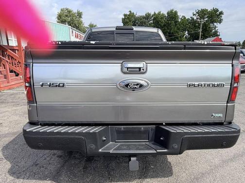 Sterling Gray Metallic 2010 Ford F-150 Platinum