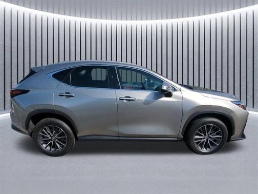 2023 Lexus NX 250 Premium