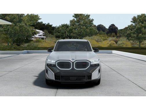 Gray Metallic 2026 BMW XM LABEL
