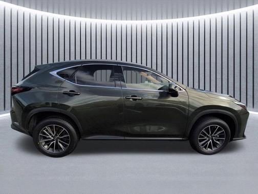 Green Pearl 2022 Lexus NX 250 Base