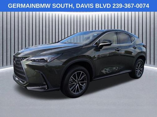 Green Pearl 2022 Lexus NX 250 Base
