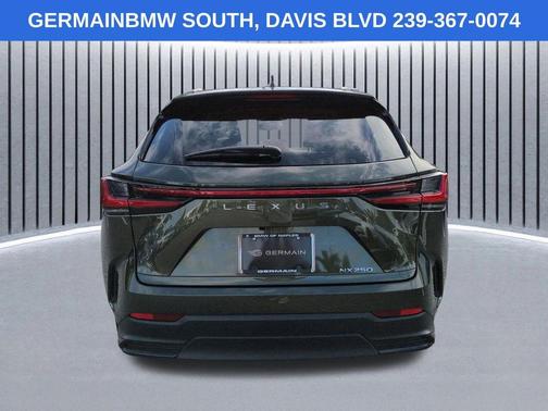 Green Pearl 2022 Lexus NX 250 Base