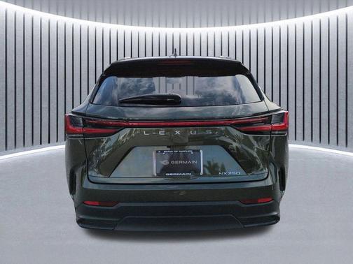 Green Pearl 2022 Lexus NX 250 Base