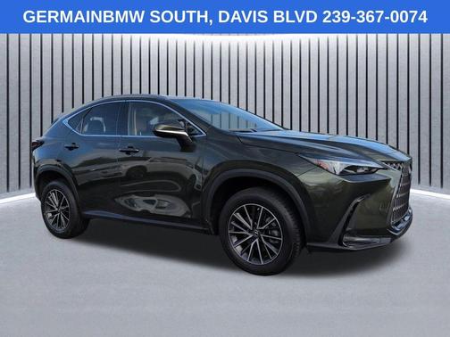 Green Pearl 2022 Lexus NX 250 Base