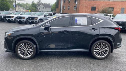 2023 Lexus NX 350 Luxury