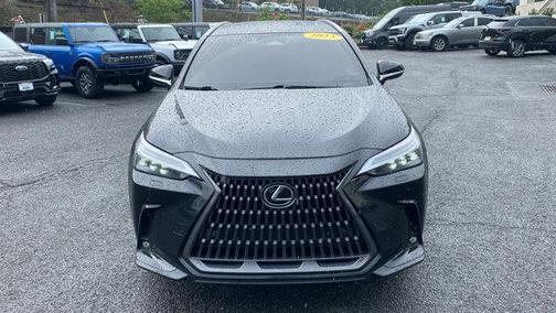 2023 Lexus NX 350 Luxury