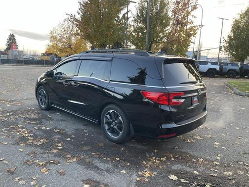 2024 Honda Odyssey Elite