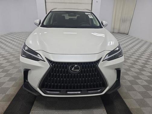2024 Lexus NX 250 Premium