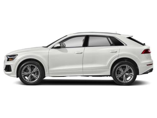 Carrara White 2023 Audi Q8 55 Premium