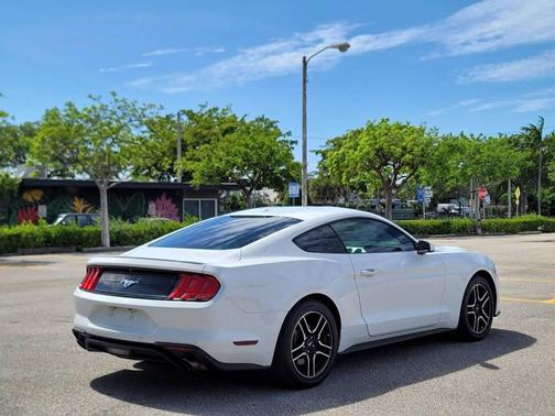 Oxford White 2019 Ford Mustang EcoBoost