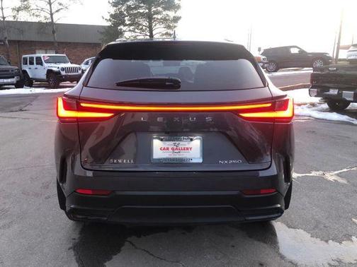 2024 Lexus NX 250 Premium