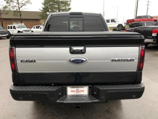2013 Ford F-150 Platinum