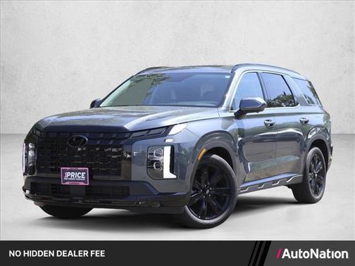 Steel Graphite 2025 Hyundai PALISADE XRT