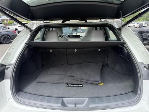 2021 Lexus UX 250h Base