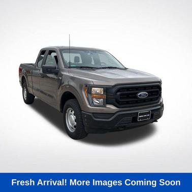 Stone Gray Metallic 2023 Ford F-150 XL