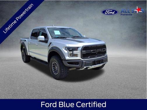 Ingot Silver 2019 Ford F-150 Raptor