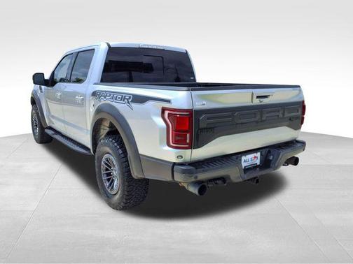 Ingot Silver 2019 Ford F-150 Raptor