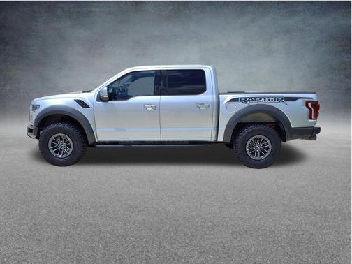 Ingot Silver 2019 Ford F-150 Raptor