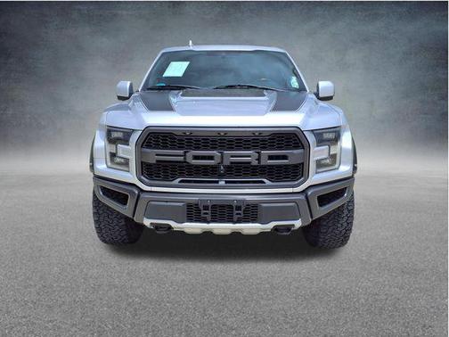 Ingot Silver 2019 Ford F-150 Raptor