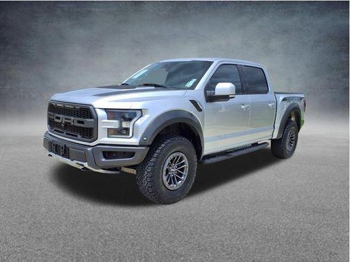 Ingot Silver 2019 Ford F-150 Raptor