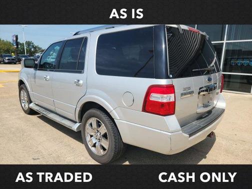 Ingot Silver Metallic 2010 Ford Expedition Limited