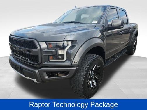 Magnetic Metallic 2019 Ford F-150 Raptor