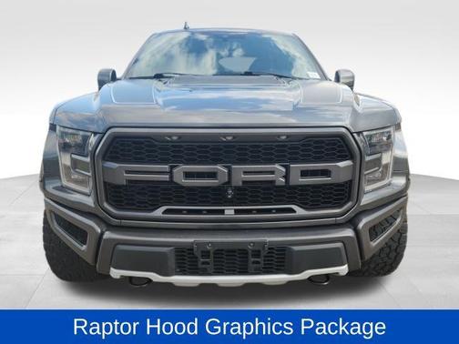Magnetic Metallic 2019 Ford F-150 Raptor