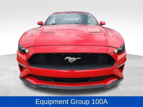 Race Red 2019 Ford Mustang EcoBoost