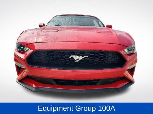 Race Red 2019 Ford Mustang EcoBoost