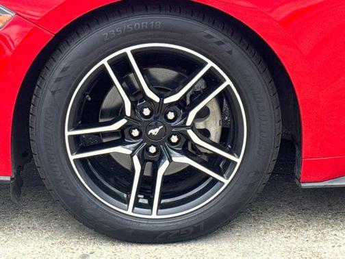 Race Red 2019 Ford Mustang EcoBoost