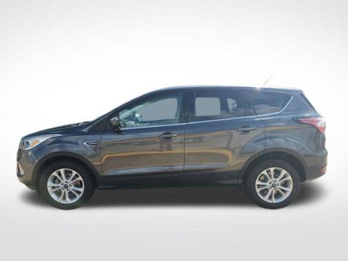 Magnetic 2017 Ford Escape SE
