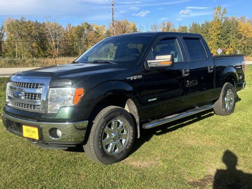 Green 2014 Ford F-150 XLT