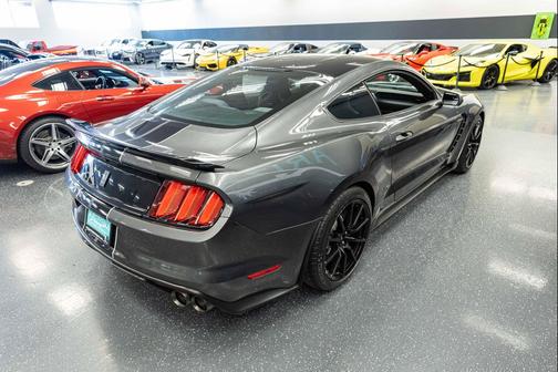 Magnetic 2016 Ford Shelby GT350 Base