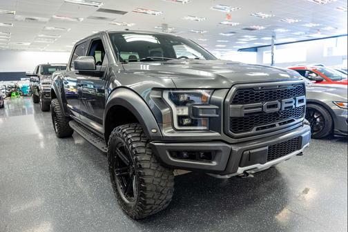 Magnetic 2018 Ford F-150 Raptor