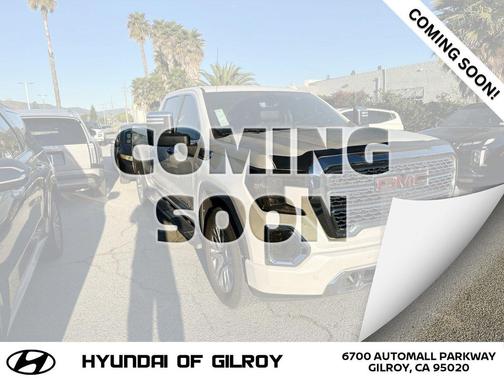 2020 GMC Sierra 1500 Denali